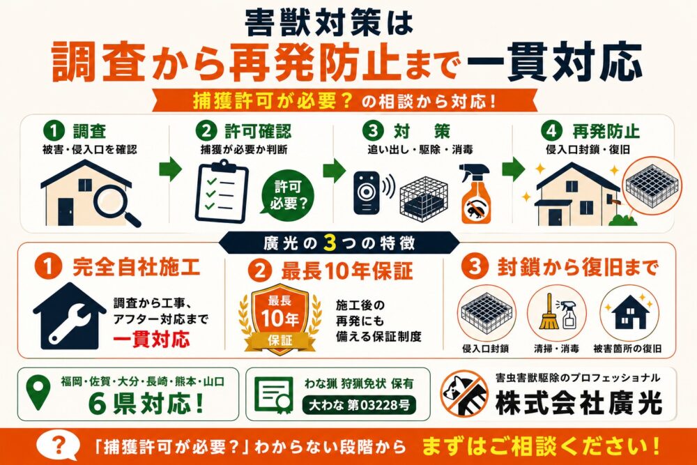 廣光について