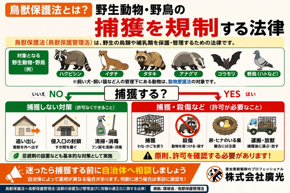 鳥獣保護法（鳥獣保護管理法）とは？害獣駆除との関係をわかりやすく解説