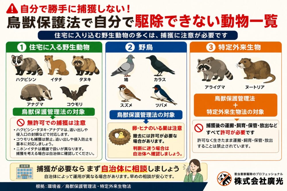 鳥獣保護法で自分で駆除できない動物一覧