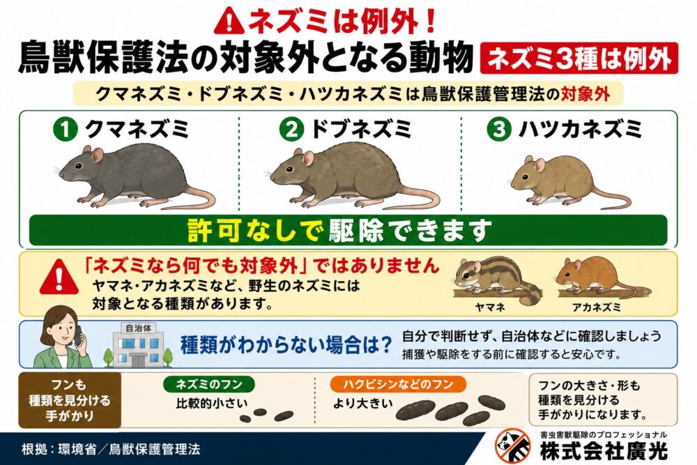 ネズミは例外！