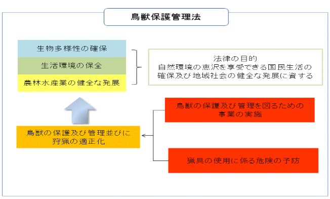 鳥獣保護管理法とハクビシン駆除の規制