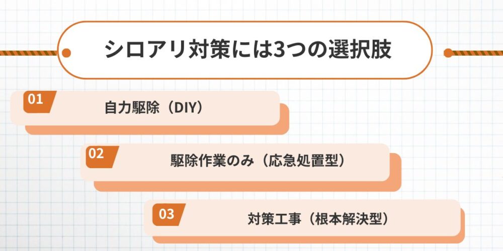 シロアリ対策には3つの選択肢｜本当に必要なのはどれか