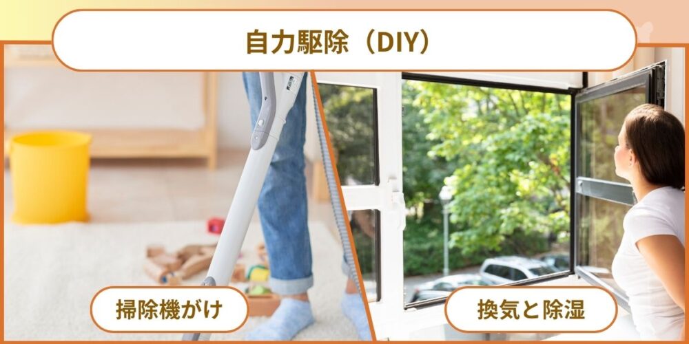 選択肢①：自力駆除（DIY）