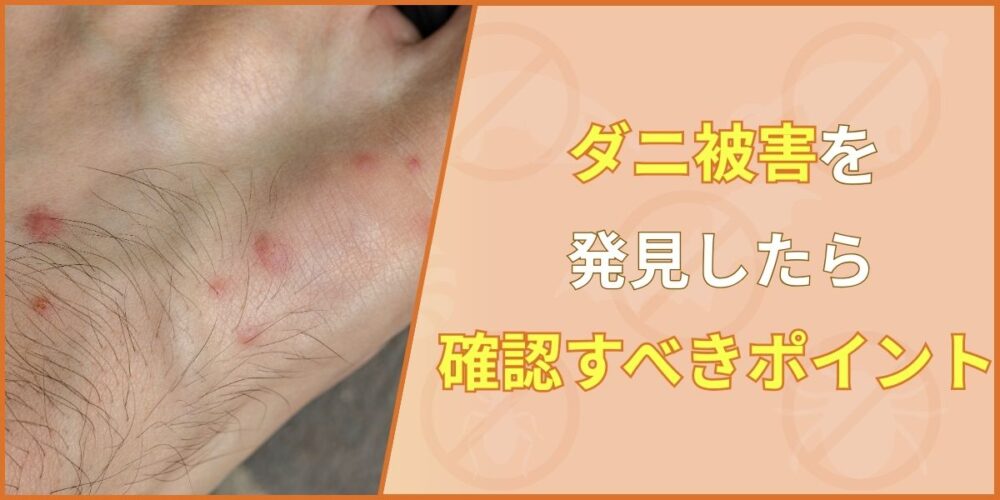 【緊急】ダニ被害を発見したら確認すべきポイント