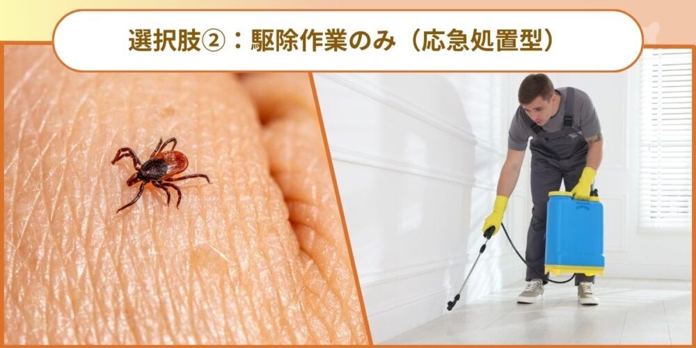 選択肢②：駆除作業のみ（応急処置型）