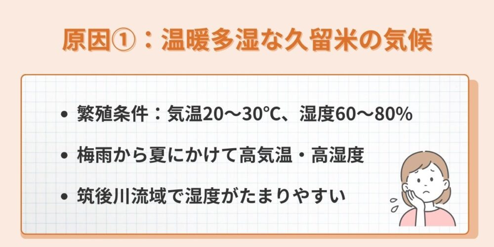原因①：温暖多湿な久留米の気候
