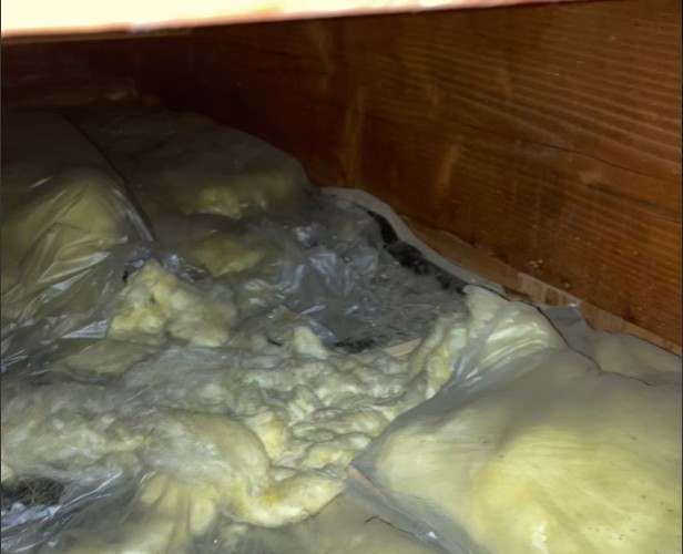 ネズミ駆除 断熱材