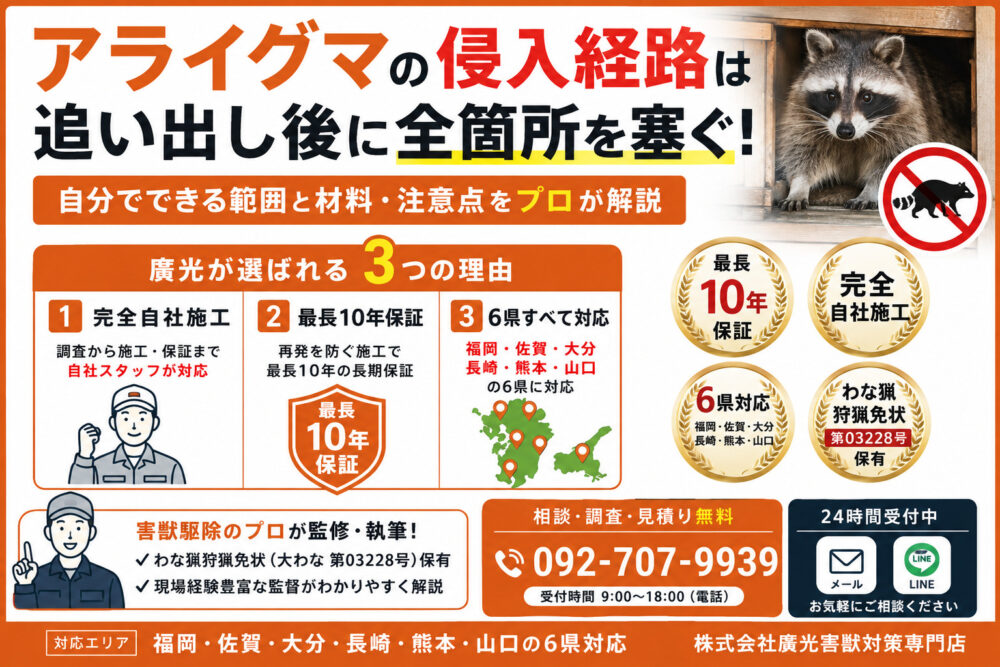 アライグマの侵入経路を塞ぐ方法と材料|自分でできる範囲はどこまで