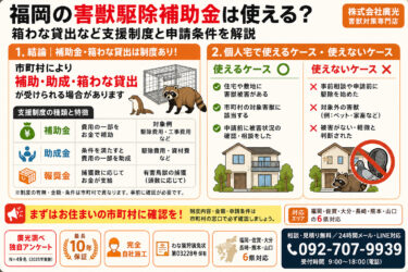 福岡の害獣駆除補助金は使える?箱わな貸出など支援制度と申請条件を解説