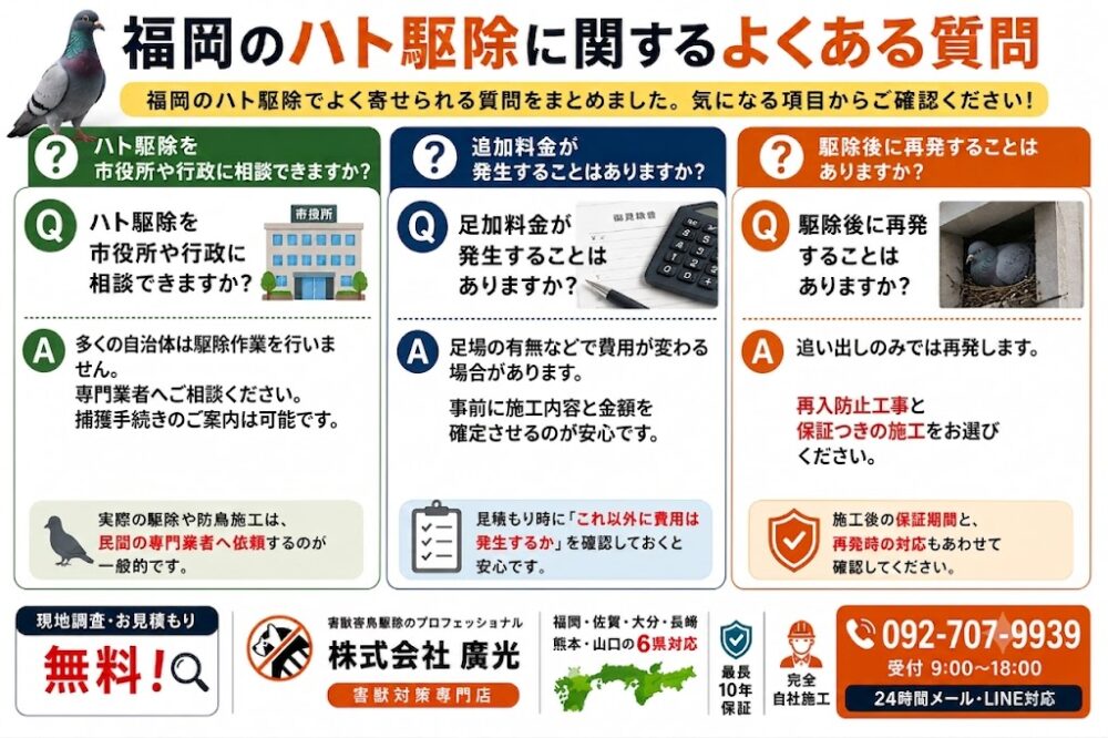 福岡のハト駆除に関するよくある質問