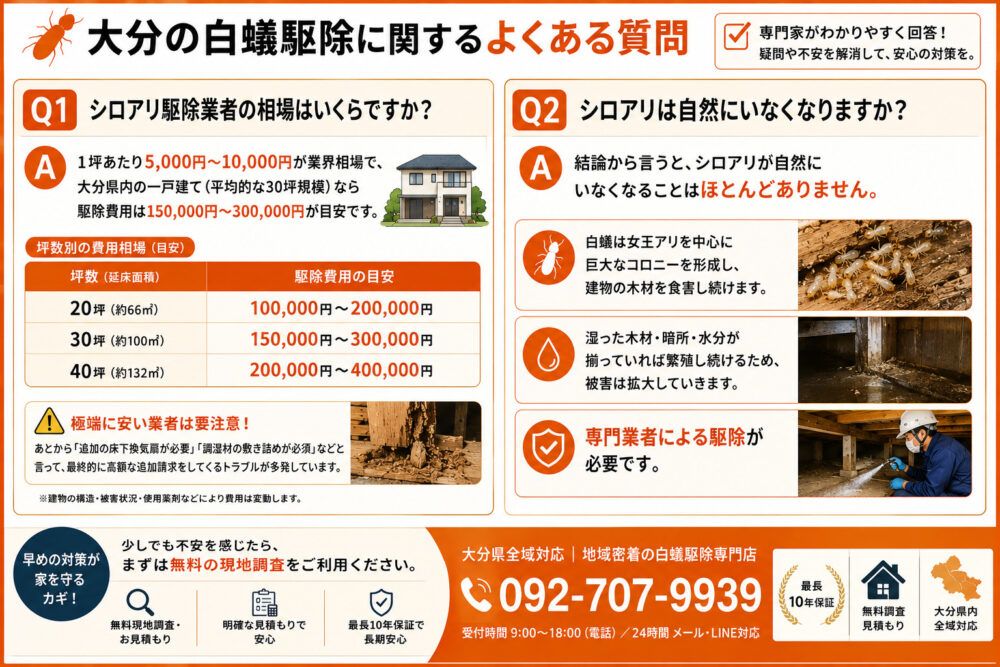 大分の白蟻駆除に関するよくある質問