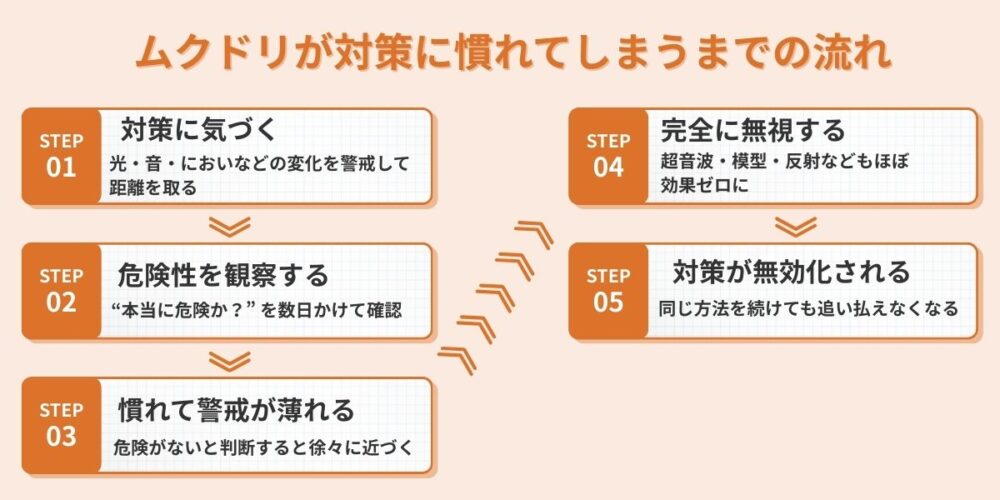 理由① 効果を無効化する高い学習能力