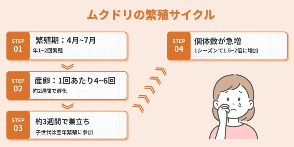理由④ 対策が追いつかない高い繁殖力