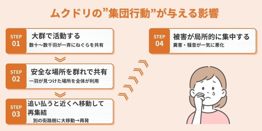 理由③ 駆除を困難にする大規模な集団行動