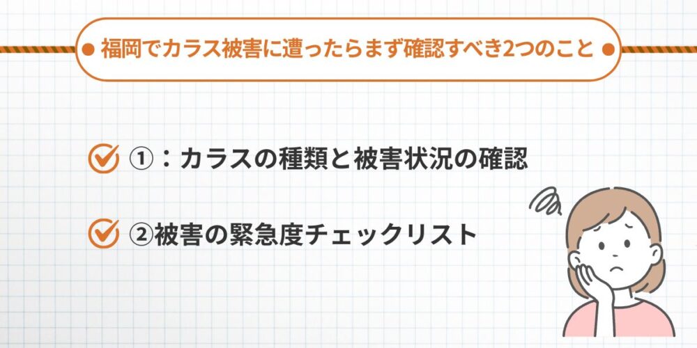 福岡でカラス被害に遭ったらまず確認すべき2つのこと
