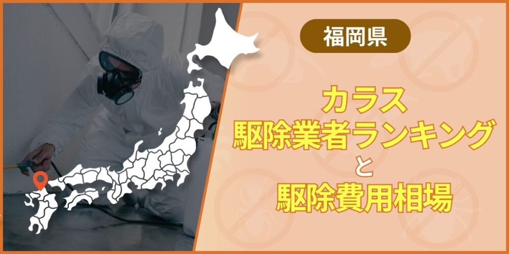 福岡カラス駆除の費用と方法｜勝手に駆除すると違法？業者に依頼すべき理由
