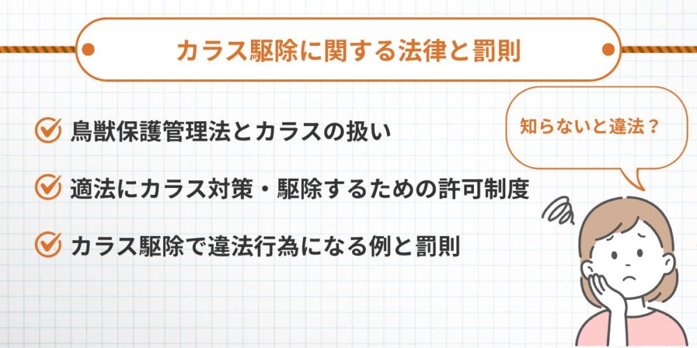 カラス駆除に関する法律と罰則【知らないと違法行為に】