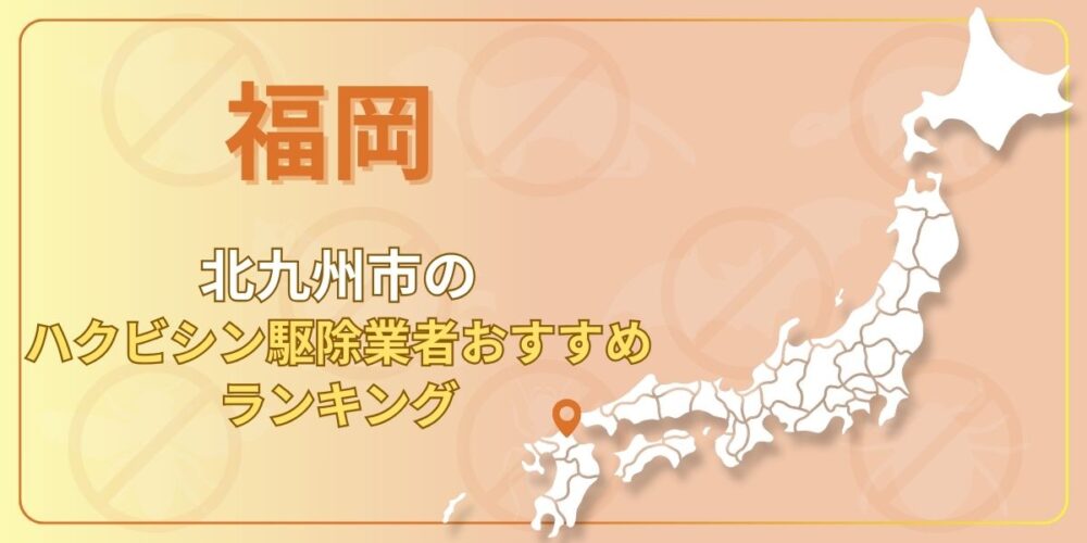 北九州市のハクビシン駆除業者おすすめランキング【2026年最新版】