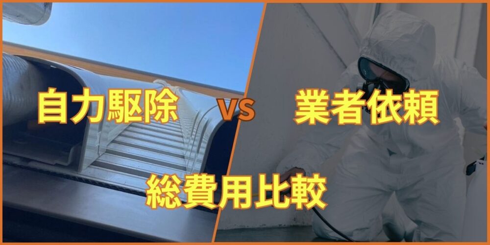 DIY vs プロの対策工事の違い
