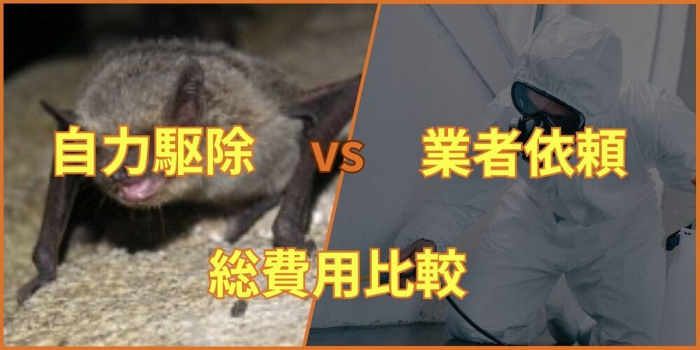 福岡コウモリ‐自力VS業者