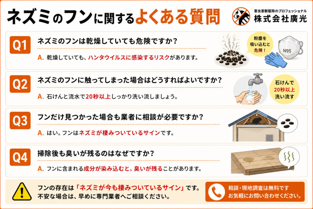 ネズミのフンに関するよくある質問