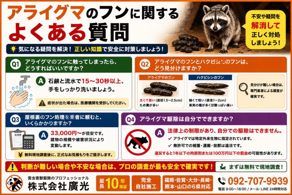 アライグマのフンに関するよくある質問