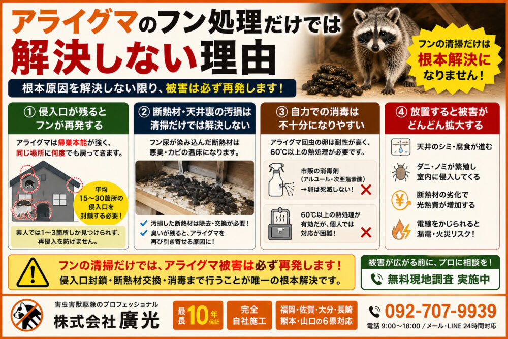 アライグマのフン処理だけでは解決しない理由