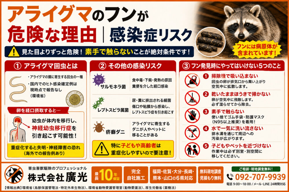 アライグマのフンが危険な理由｜感染症リスク