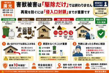 害獣被害の原因と対策|自力駆除の限界と業者依頼の判断基準