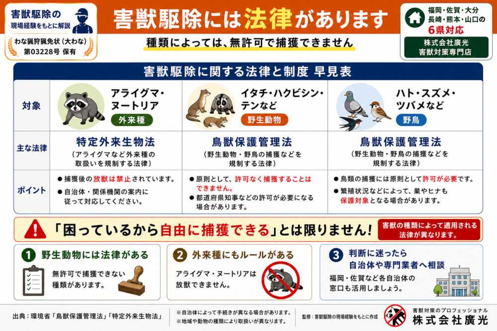 害獣駆除に関する法律と制度|知らないと罰則も