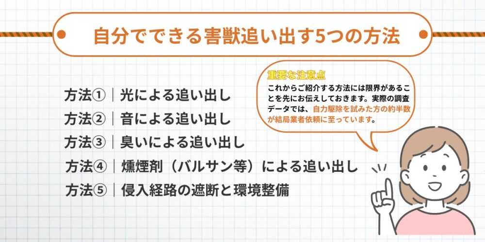 自力でできる害獣追い出し