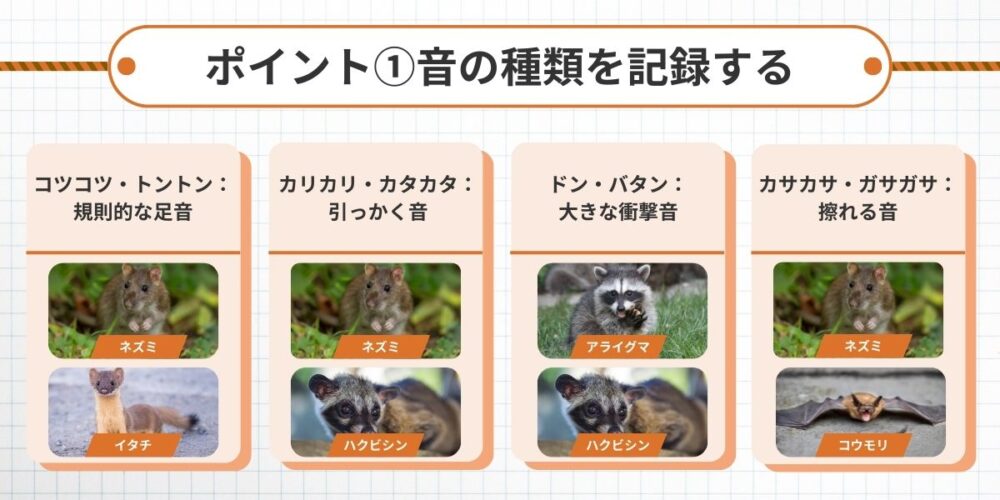 屋根裏 天井裏 害獣 音の種類