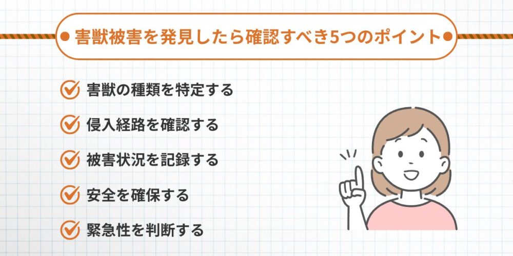 害獣を発見したら確認すべき5つのポイント