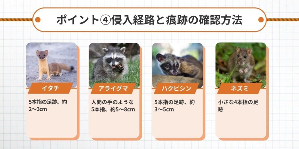 害獣 侵入経路と痕跡