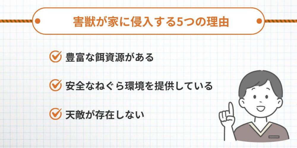 害獣が家に侵入する3つの理由