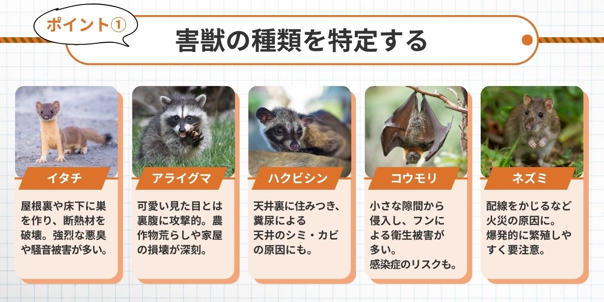 害獣の種類を特定する