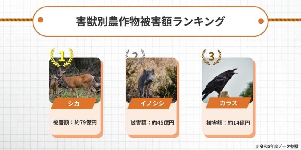 害獣別農作物被害額ランキング