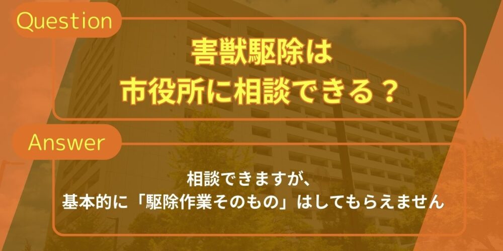 害獣駆除は市役所に相談できる