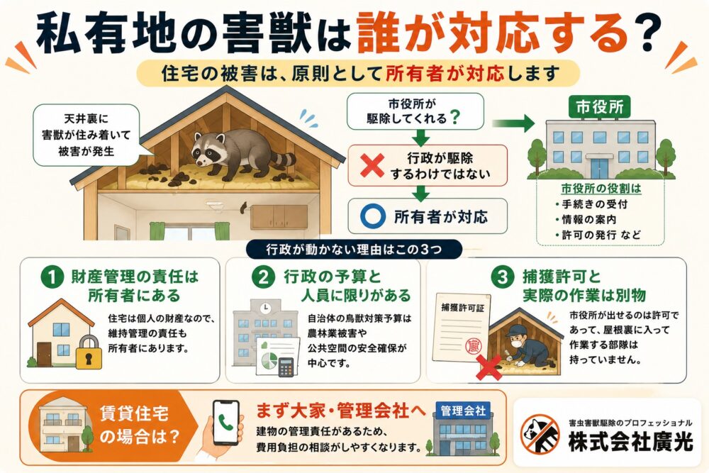 私有地に出た害獣は誰が対応する?行政が動かない理由