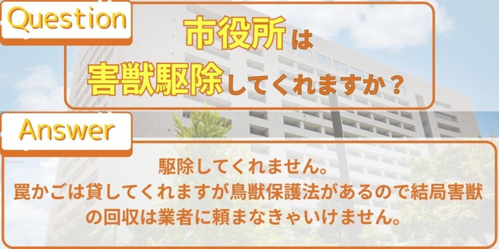 市役所は害獣駆除してくれますか