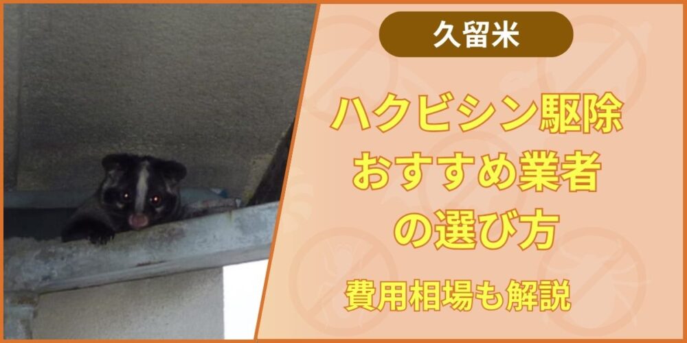 久留米市のハクビシン駆除費用相場と失敗しない業者選び【2026年最新】