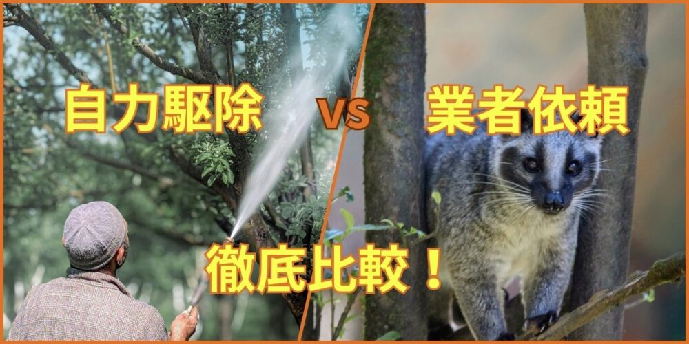 DIY封鎖 vs プロの対策工事｜徹底比較