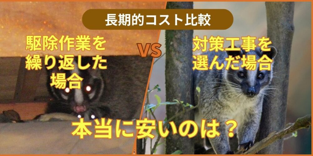 久留米コウモリ‐本当に安いのは