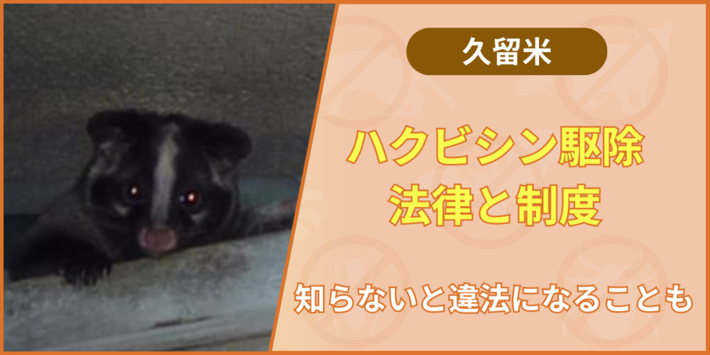 ハクビシン‐法律