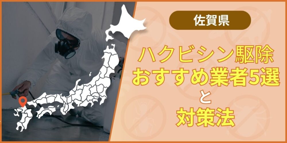 佐賀のハクビシン駆除｜駆除作業と対策工事の違いと費用相場を徹底比較