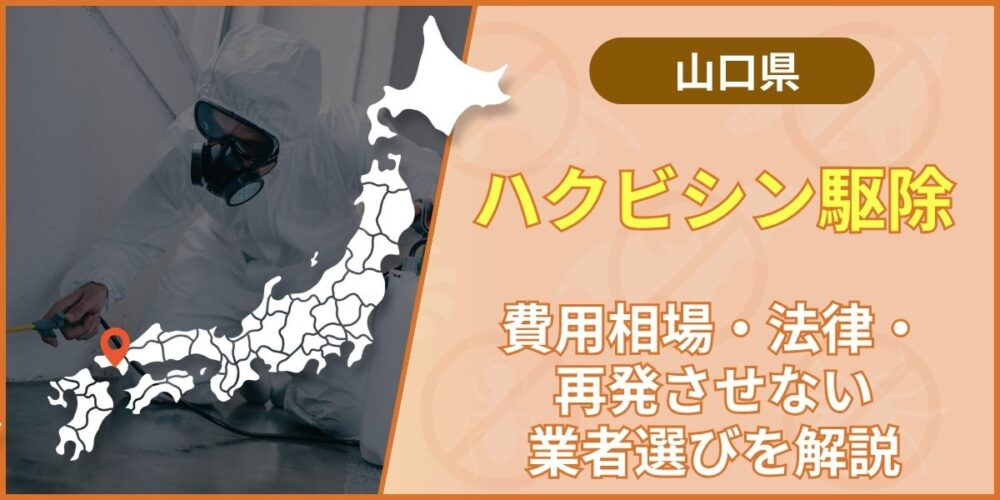 山口のハクビシン駆除おすすめ業者｜費用相場と3つの選択肢を徹底解説