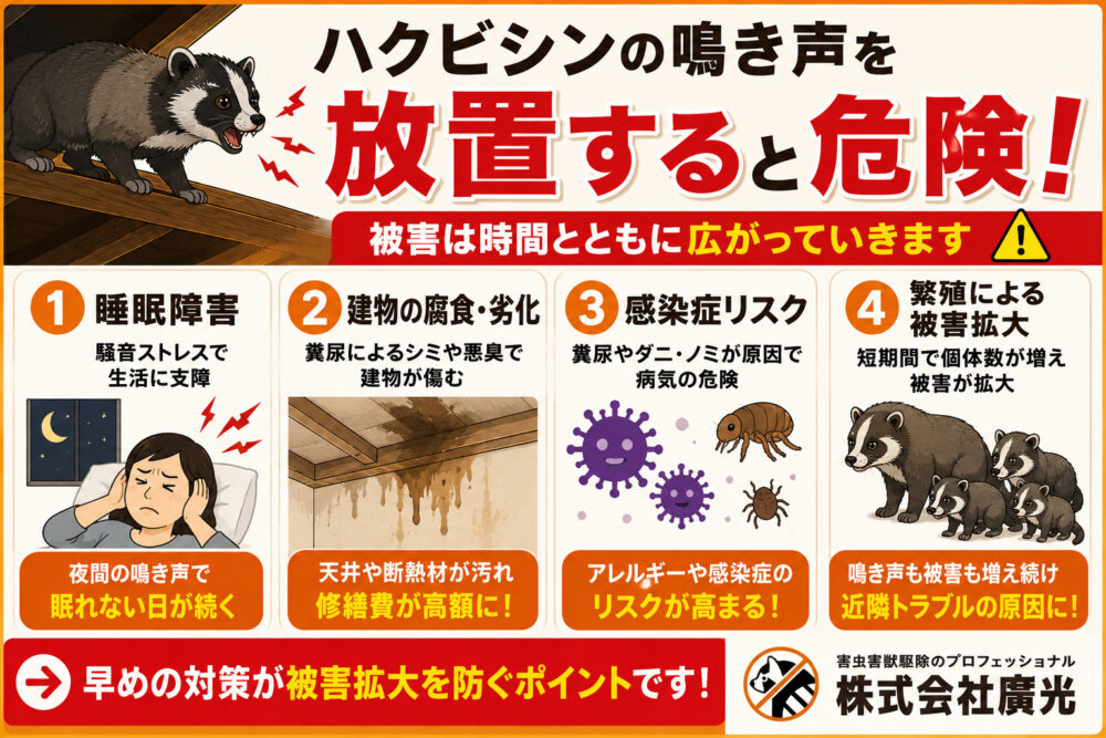 ハクビシンの鳴き声を放置する4つのリスク