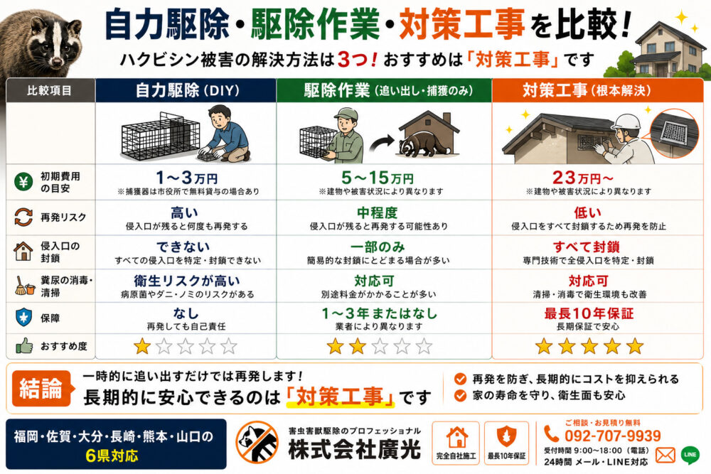 自力駆除・駆除作業・対策工事|3つの選択肢を徹底比較