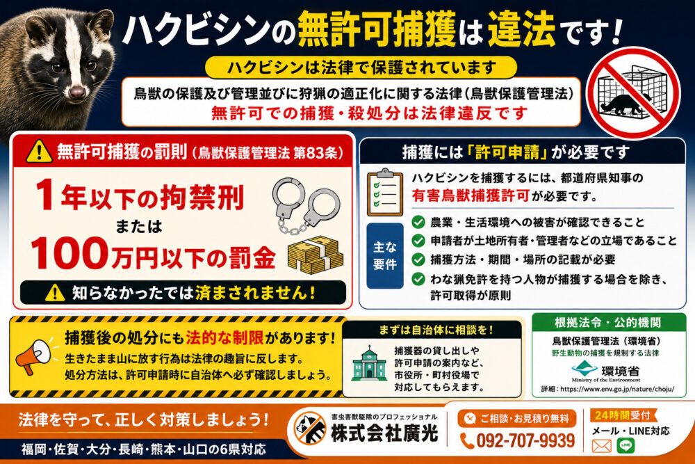ハクビシンの無許可捕獲は違法|鳥獣保護管理法の規制と罰則