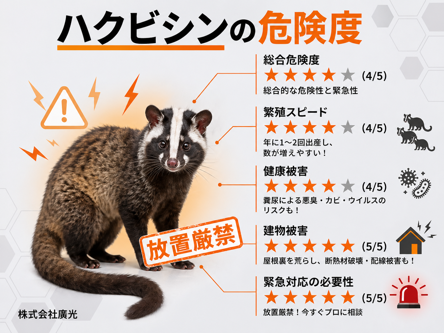 ハクビシンは放置厳禁｜ため糞で天井が腐る・鳥獣保護管理法対象の害獣です